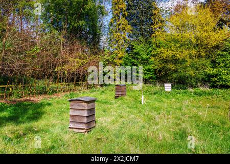 Gli alveari tradizionali in legno nell'apiario di RHS Garden, Wisley, Surrey, Inghilterra sud-orientale in primavera che forniscono case per api impollinanti Foto Stock