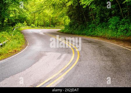 Autostrada tortuosa che attraversa la Pisgah National Forest nel North Carolina Foto Stock