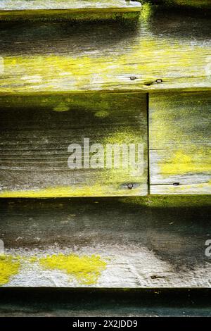 Immagine ravvicinata di tavole in legno intemperie del lato della casa Foto Stock