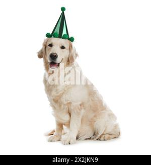 Cane carino con cappello da festa su sfondo bianco Foto Stock