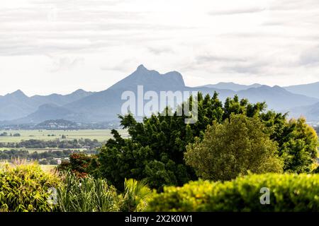 Mount Warning visto in lontananza dell'entroterra di Byron Bay durante la stagione autunnale. Foto Stock