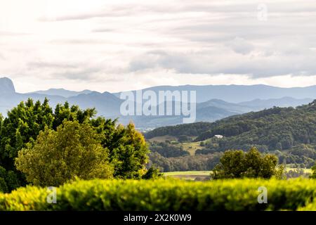 Mount Warning visto in lontananza dell'entroterra di Byron Bay durante la stagione autunnale. Foto Stock