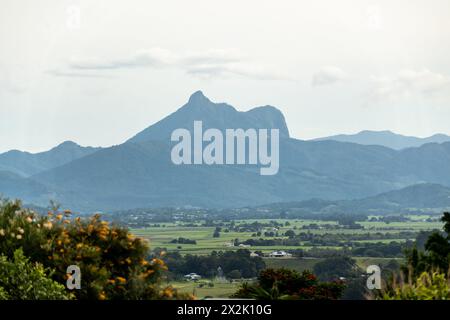 Mount Warning visto in lontananza dell'entroterra di Byron Bay durante la stagione autunnale. Foto Stock