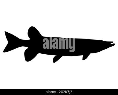 Muskellunge Fish silhouette grafica vettoriale Illustrazione Vettoriale