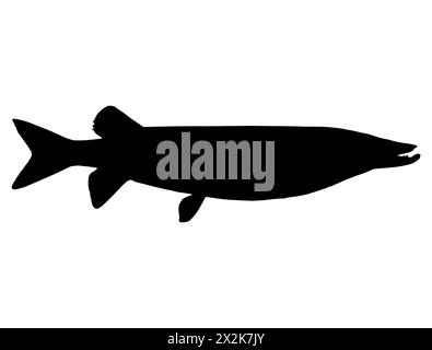 Muskellunge Fish silhouette grafica vettoriale Illustrazione Vettoriale