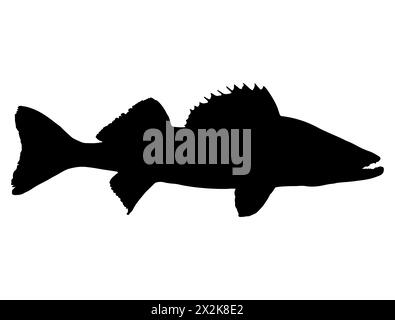 Walleye Fish silhouette grafica vettoriale Illustrazione Vettoriale