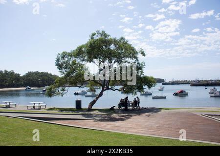 Ulladulla Harbour Beach and Harbour, Princes Highway, Ulladulla, New South Wales, Australia Foto Stock