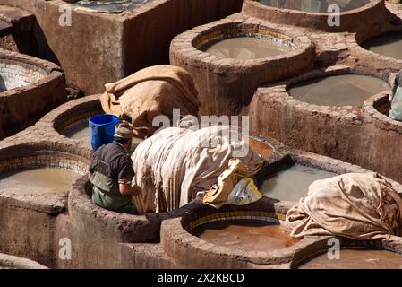 Pelle che muore nella tradizionale conceria Chouara a FES. Foto Stock