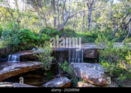 Cascata che scorre accanto al sentiero di America Bay nel parco nazionale Ku-ring-GAI Chase, Sydney, NSW, Australia, 2024 Foto Stock