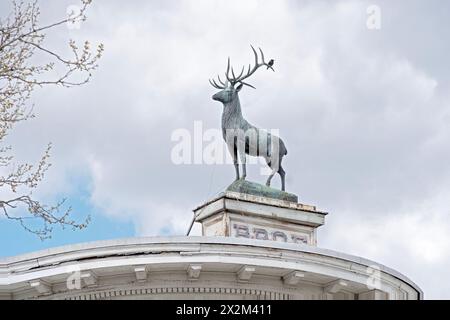 La statua di un alce di bronzo con un uccello in visita sulla sua testa in cima al 1038 di Brown Street a Peekskill, sede della locale Elks Lodge, #744. Foto Stock