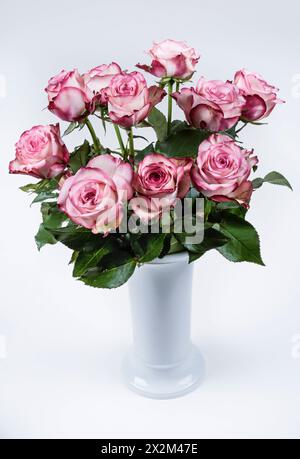 Rot-weiße Rosen in vaso KPM *** Rose rosse e bianche in vaso KPM Foto Stock