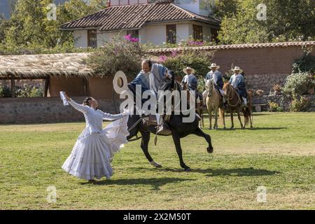 Perù Perù Perù cavalli paso danzanti marinera stallone tradizione visita turistica Foto Stock