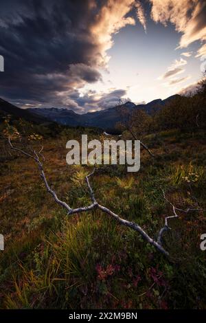 Geografia / viaggi, Norvegia, Eresfjord, Romsdalen, autunno, ERESFJORD, ULTERIORI-DIRITTI-CLEARANCE-INFO-NON-DISPONIBILI Foto Stock