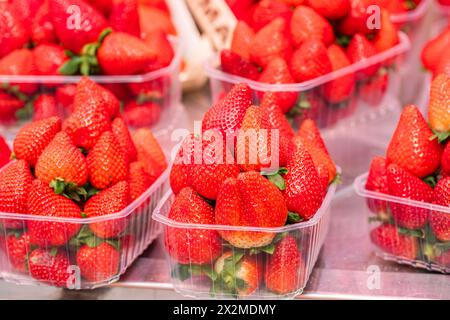 Fragole vivaci in scatole di plastica trasparente in vendita, che mettono in risalto freschezza e colori accattivanti Foto Stock