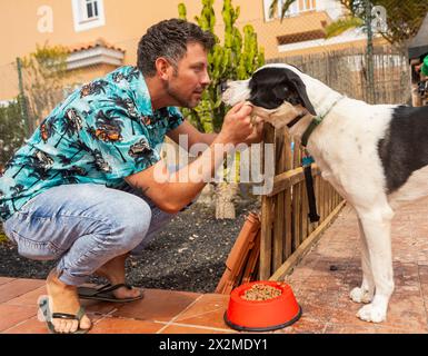 Una calda interazione tra un uomo e un cane fedele, che condivide un tocco di amicizia con una ciotola di cibo per cani nelle vicinanze, a un barbecue per famiglie Foto Stock