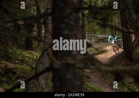 Un ciclista con equipaggiamento protettivo guida una mountain bike lungo un sentiero nella foresta, incorniciato dal paesaggio naturale durante l'estate Foto Stock