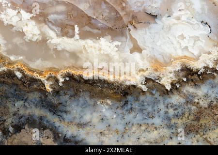 Vista ravvicinata degli intricati schemi in un'agata muschiata dell'Oregon, che mostra l'arte della natura. Foto Stock