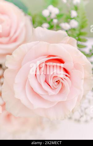 Una foto ravvicinata che cattura la delicata bellezza di una rosa rosa con uno sfondo morbido, ideale per nozze e romantiche Foto Stock