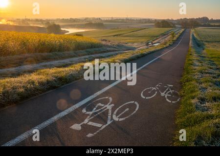 Pista ciclabile che attraversa la splendida campagna primaverile durante la nebbia e il sole mattutino Foto Stock