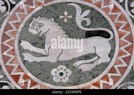 Leone in medaglione di marmo sulla facciata ovest del Duomo di San Martino a Lucca, Toscana, Italia. La facciata della cattedrale è un capolavoro dell'arte e dell'architettura romanica pisana grazie all'opera del maestro scultore lombardo Guido o Guidetto Bigarelli, noto come Guido da Como (1220 - 1257 circa). Foto Stock