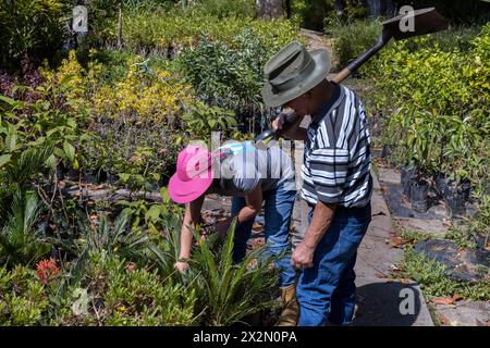 Due anziani dell'America Latina camminano nel giardino sul retro. Pensionati e per il tempo libero Foto Stock