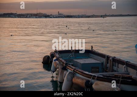Vista del porto di Molfetta al tramonto con le barche dei pescatori. Puglia, Italia. Foto Stock