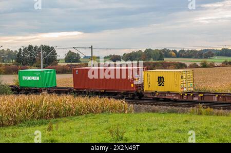 Mehrere Schiffscontainer, darunter einer der firma MSC und Evergreen, werden auf der Bahnstrecke zwischen München und Nürnberg durch Deutschland trans Foto Stock