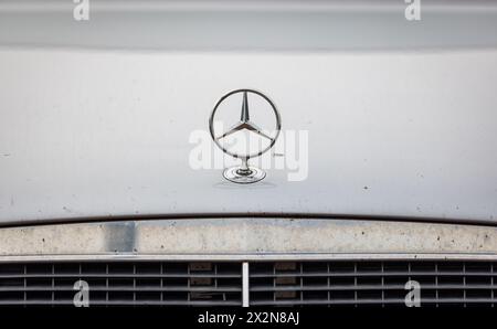 Auf einem Mercedes tront stolz das Emblem der Automarke Mercedes. (Garching B. München, Deutschland, 09.10.2022) Foto Stock
