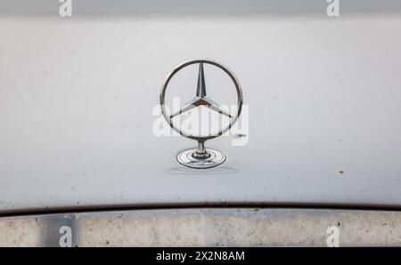 Auf einem Mercedes tront stolz das Emblem der Automarke Mercedes. (Garching B. München, Deutschland, 09.10.2022) Foto Stock