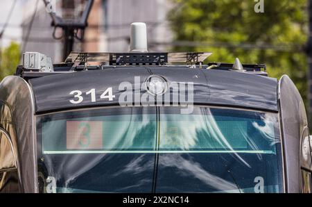LED Anzeige einer Strassenbahn der Linie 3 a Friburgo in Brisgovia mit der zugehörigen Zieldestination. (Friburgo in Breisgau, Deutschland, 07.08.2022 Foto Stock