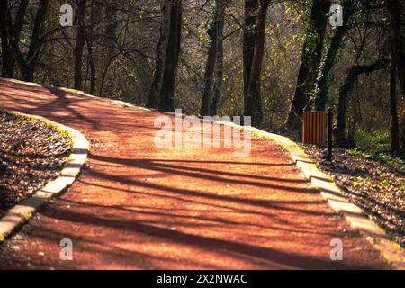 Imbarcati in un viaggio lungo la strada tortuosa attraverso le tranquille profondità della foresta, circondati dall'abbraccio della natura. Foto Stock