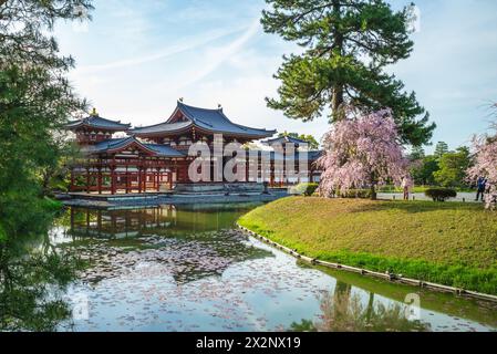 Phoenix Hall e giardino Jodo shiki di Byodoin a Kyoto, Giappone Foto Stock