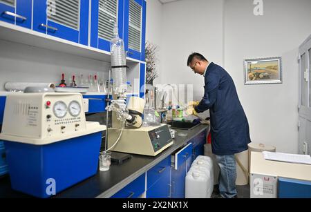 (240423) -- TIANJIN, 23 aprile 2024 (Xinhua) -- Gao Xuemiao pulisce gli utensili sperimentali presso il laboratorio della biblioteca Tianjin nel comune di Tianjin nella Cina settentrionale, 22 aprile 2024. La Biblioteca Tianjin ospita una collezione di 590.000 libri antichi e ha condotto antichi lavori di restauro di libri per oltre 70 anni. Gao Xuemiao, 38 anni, guida il team di restauro della biblioteca. È il primo esperto di restauro con un background in chimica dall'istituzione del dipartimento nel 1978. Al giorno d'oggi, il restauro di libri antichi è sempre più visto come un processo interdisciplinare. L'incorporat Foto Stock