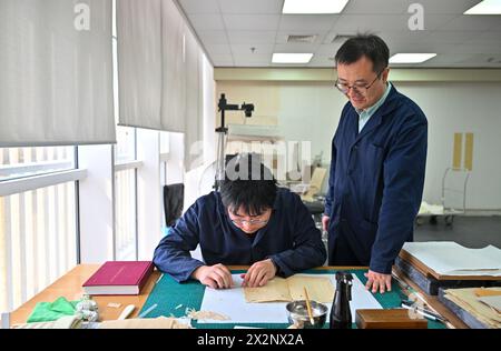 (240423) -- TIANJIN, 23 aprile 2024 (Xinhua) -- Gao Xuemiao (R) guida un tirocinante per restaurare un libro antico presso la Tianjin Library, nella municipalità di Tianjin, nella Cina settentrionale, 22 aprile 2024. La Biblioteca Tianjin ospita una collezione di 590.000 libri antichi e ha condotto antichi lavori di restauro di libri per oltre 70 anni. Gao Xuemiao, 38 anni, guida il team di restauro della biblioteca. È il primo esperto di restauro con un background in chimica dall'istituzione del dipartimento nel 1978. Al giorno d'oggi, il restauro di libri antichi è sempre più visto come un processo interdisciplinare. L'incorpora Foto Stock