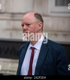 Londra, Regno Unito. 23 aprile 2024. Ministri a Whitehall Londra Regno Unito credito: Ian Davidson/Alamy Live News Foto Stock