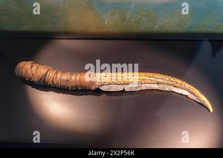 Spigoli neolitici trovati a Gobeklitepe, Sanliurfa, Turchia. Foto Stock