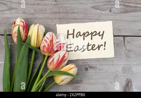 Biglietto d'auguri con tulipani rossi, gialli e bianchi e testo in inglese: Buona Pasqua Foto Stock