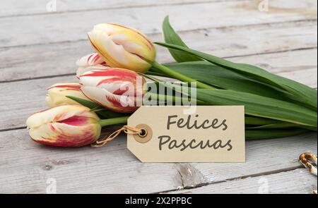 Biglietto d'auguri con tulipani rossi, gialli e bianchi e testo spagnolo: Buona Pasqua Foto Stock