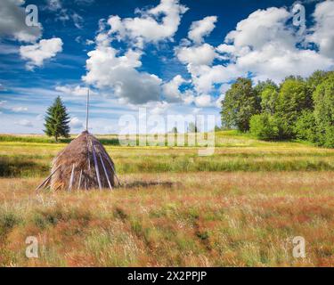 Incredibile paesaggio rurale del villaggio rumeno Rogojel con colline boscose e fienili su un campo rurale erboso in montagna. Ubicazione: Rogojel, C. Foto Stock