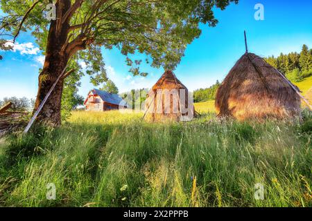 Incredibile paesaggio rurale del villaggio rumeno Rogojel con colline boscose e fienili su un campo rurale erboso in montagna. Ubicazione: Rogojel, C. Foto Stock