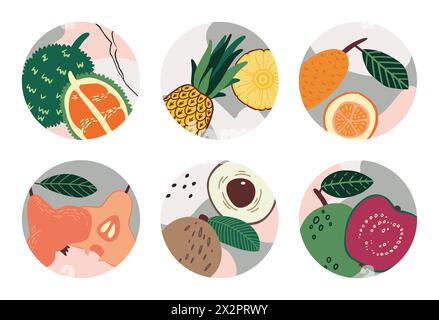 Frutta tropicale. Cibo vegetale esotico. Prodotti freschi e succosi. Ananas maturo. Dolce pera e longan. Delizioso citron con foglie. Mezzo kiwano e intero. Elementi salienti dei social media. Set vettoriale banner circolari Illustrazione Vettoriale