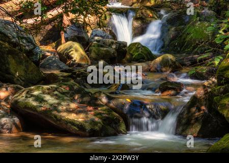 Sezioni del Rocky Fork Creeek nel Lamar Alexander Rocky Fork State Park, parco della Cherokee National Forest nel Tennessee. Foto Stock