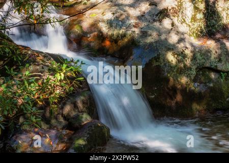 Sezioni del Rocky Fork Creeek nel Lamar Alexander Rocky Fork State Park, parco della Cherokee National Forest nel Tennessee. Foto Stock