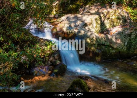 Sezioni del Rocky Fork Creeek nel Lamar Alexander Rocky Fork State Park, parco della Cherokee National Forest nel Tennessee. Foto Stock