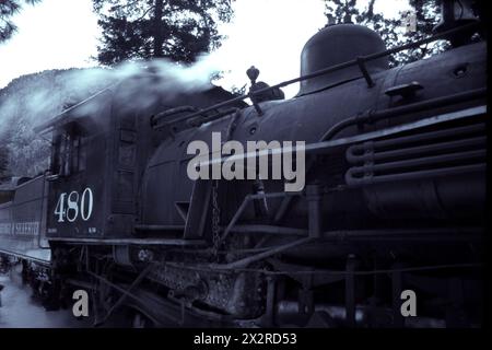 Locomotiva funzionante di Durango e Silverton parcheggiata a vapore in una foresta di montagna. Foto Stock