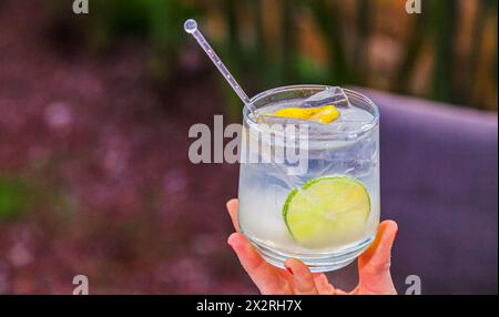 Assaggiare una deliziosa acqua di limone con acqua minerale ripristina la temperatura corporea. Foto Stock