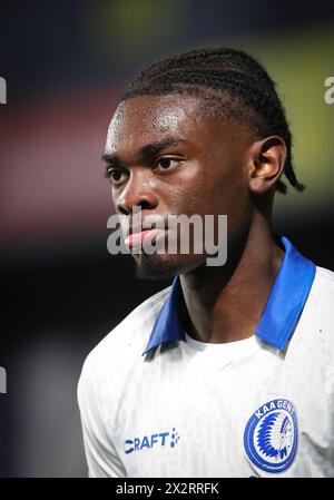 Sint Truiden, Belgio. 23 aprile 2024. Jorthy Mokio di Gent nella foto durante una partita di calcio tra Sint-Truidense VV e KAA Gent, martedì 23 aprile 2024 a Sint-Truiden, il giorno 5 (su 10) dei play-off europei della prima divisione del campionato belga "Jupiler Pro League" 2023-2024. BELGA PHOTO VIRGINIE LEFOUR credito: Belga News Agency/Alamy Live News Foto Stock