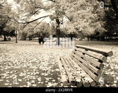 Boston Public Garden in autunno - USA Foto Stock