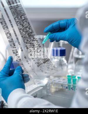 Scienziato che analizza i dati dell'elettroforesi del DNA in laboratorio Foto Stock