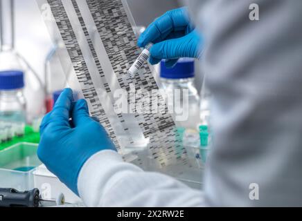Scienziato senior che analizza la provetta e l'autoradiogramma del DNA in laboratorio Foto Stock